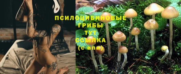 винт Балахна