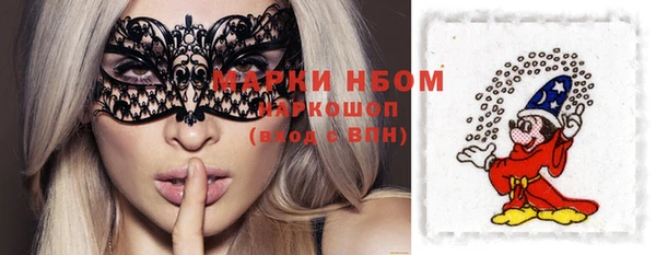 индика Куйбышев